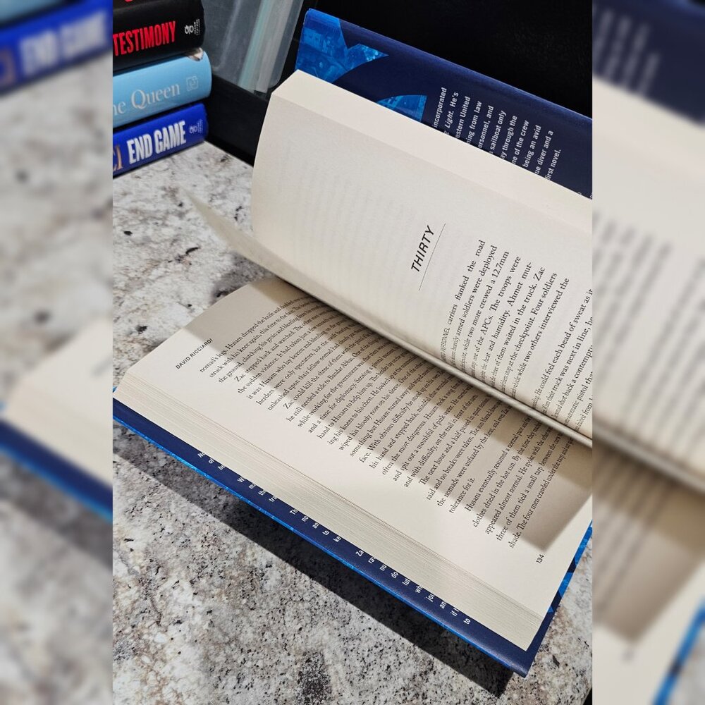 Warning Light by David Ricciardi Hardback - Picture 3 of 3